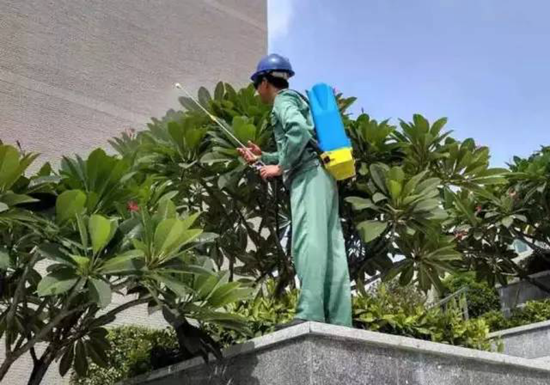 物业行业新动态：小区管理升级之路